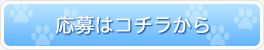̓R`