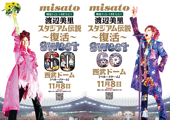 渡辺美里スタジアム伝説 渡辺美里／MISATO V20 スタジアム伝説〜最終章〜 NO SIDE [DVD